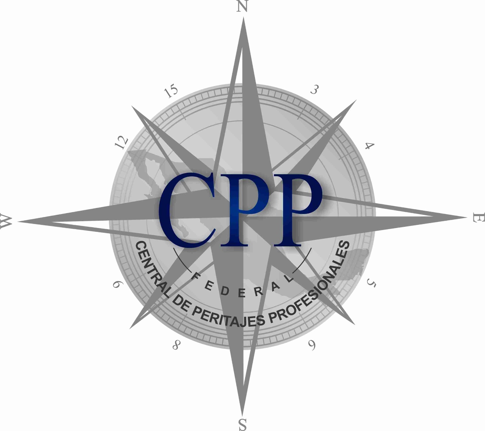 CPP Central Profesionales